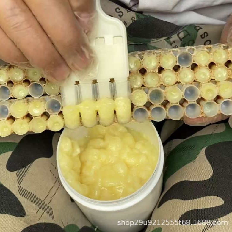 The bee farm directly supplies 500 grams of fresh royal jelly in white bottles. royal jelly, rape jelly, first stubble spring jelly