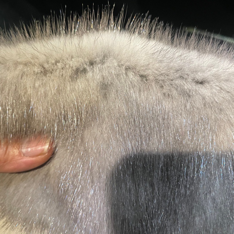 Manufacturer Wholesale Natural Color Mink Fur Pocket Cashmere Coat Camel Wool Clothing High-End Mink Fur Accessories