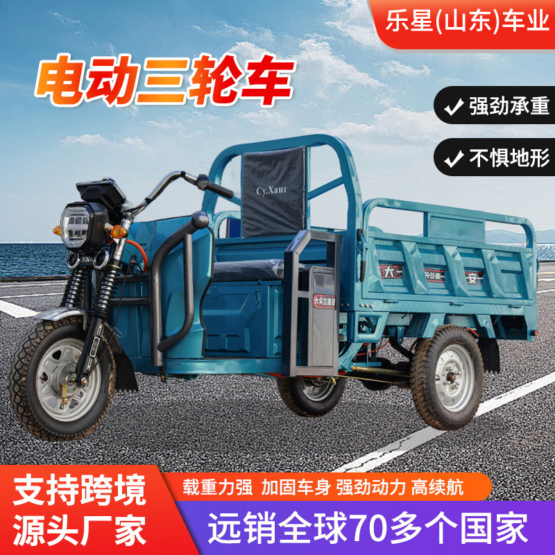 Cross-Border Electric Tricycle for Cargo, Agricultural Battery Vehicle, Heavy-Duty Climbing Mountainous Area Household High-Power Electric Tricycle
