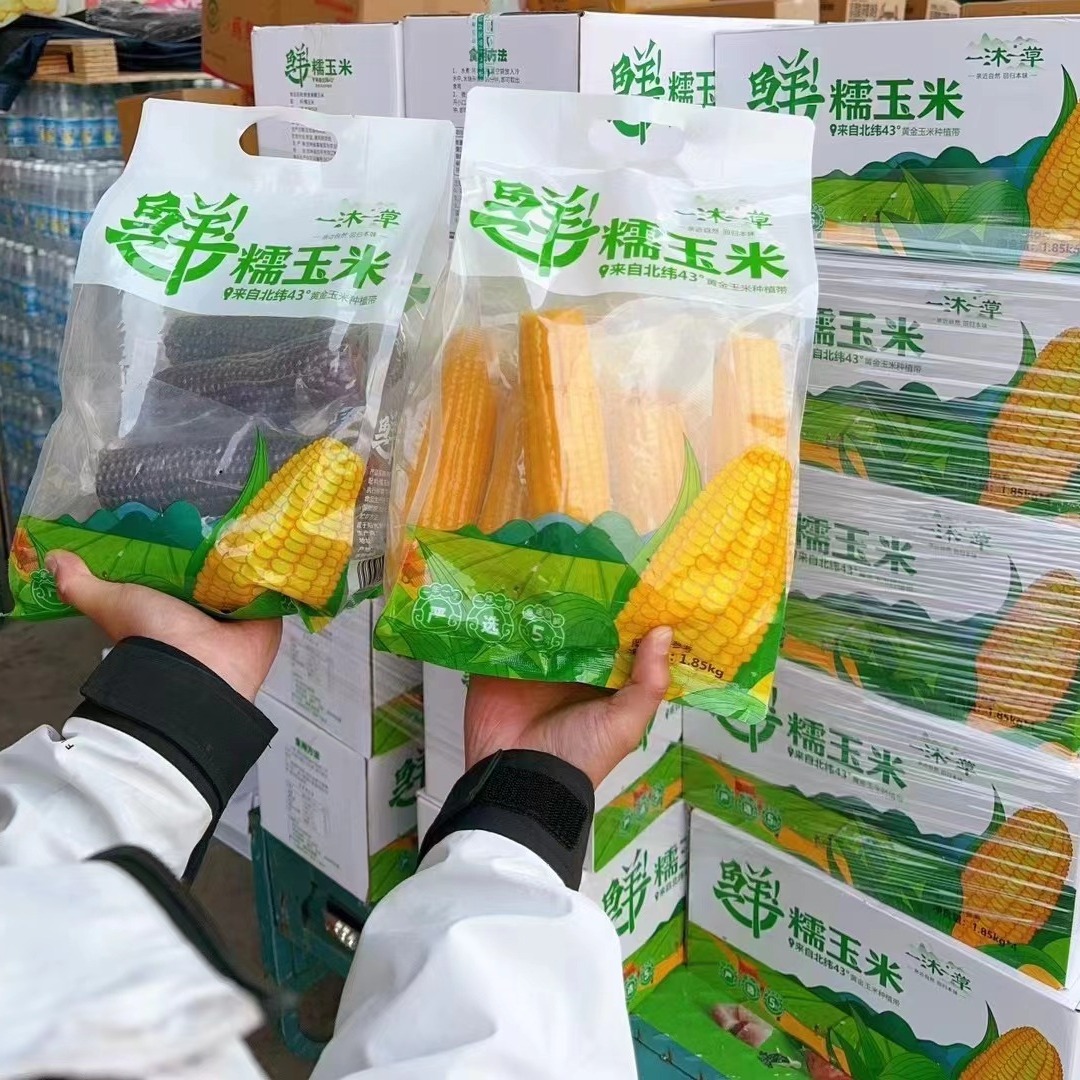 Свежая восковая кукуруза Yimu Yicao желтая клейкая сладкая вакуумная упаковка свежая кукуруза заменитель завтрака грубые крупы 1.85кг