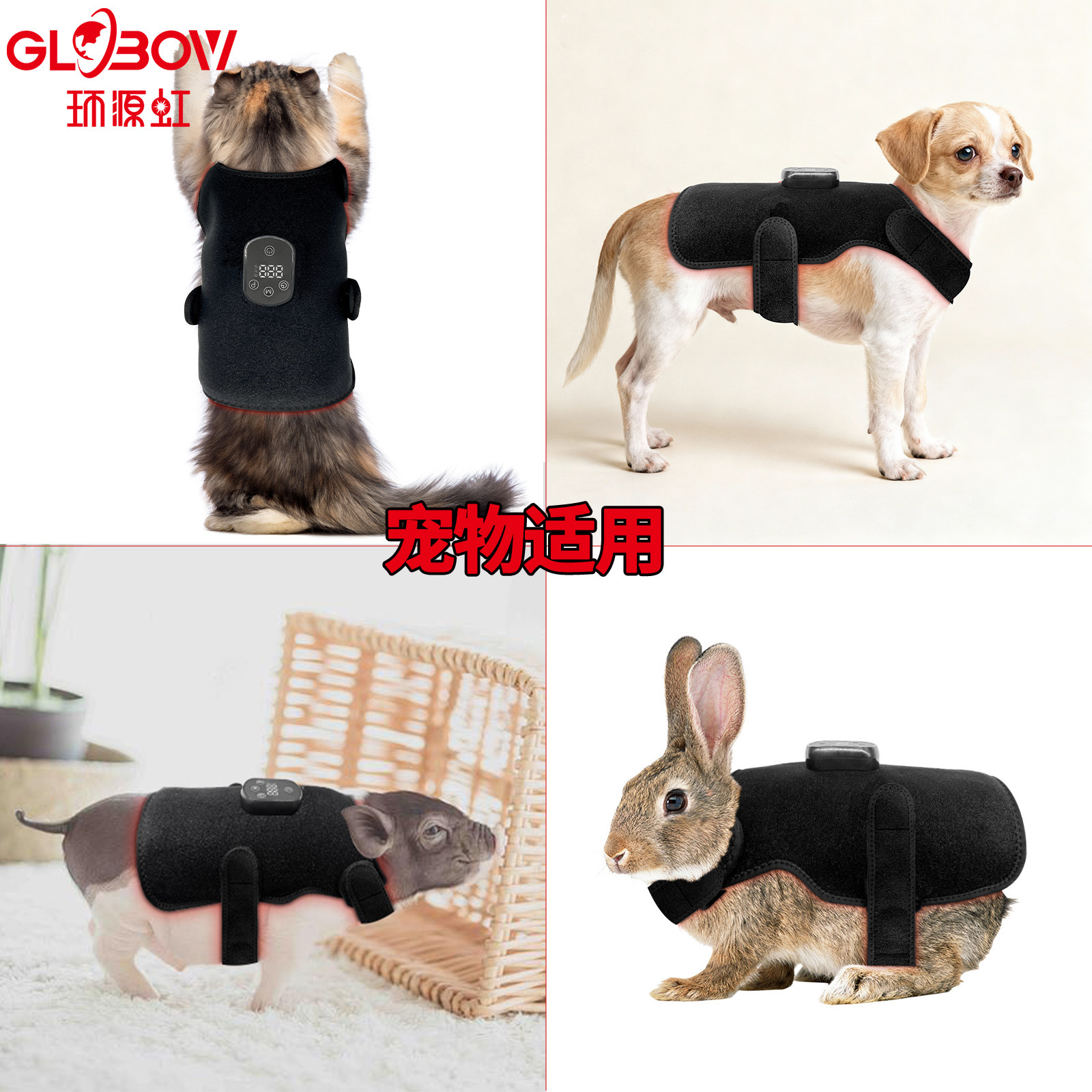 Small, Medium and Large Size Pet Red Light Physiotherapy Instrument Portable Cat and Dog Abdominal Injury Fracture Far Infrared Rehabilitation Physiotherapy Anti-Licking