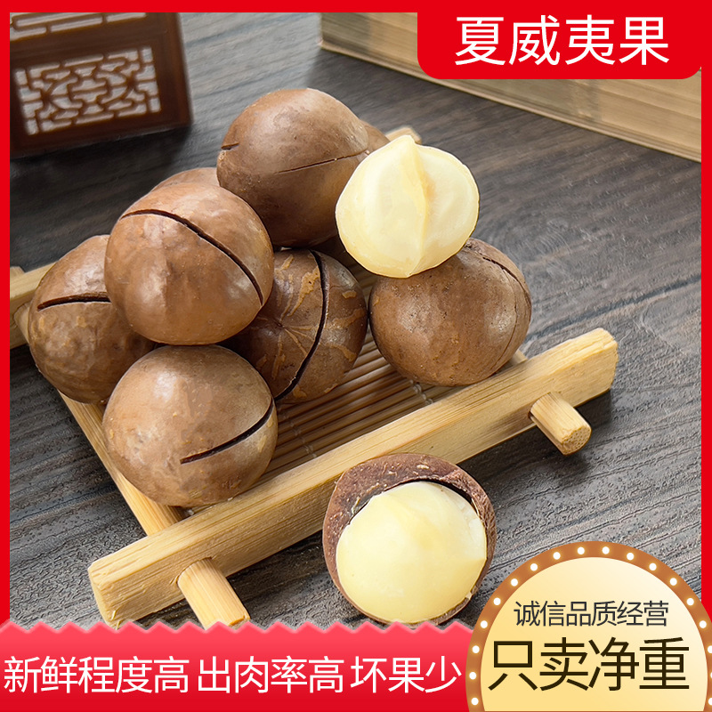 Hawaiian Macadamia Nuts Wholesale, Large Nuts with Opener, Creamy Flavor, New Year's Gift, Pistachios, Free Shipping