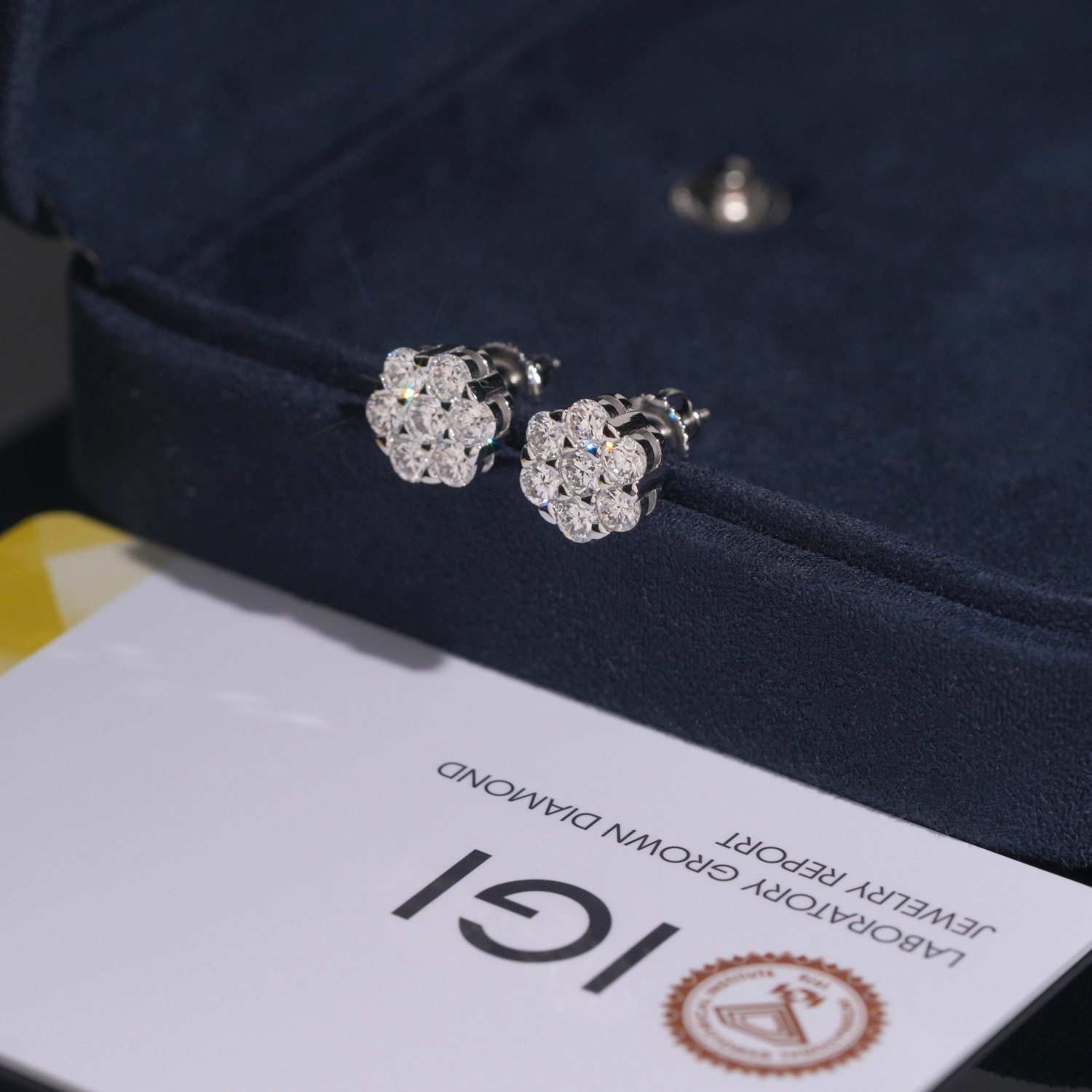 Cross-Border S925 Silver Inlaid Laboratory-Grown Diamond 9.5mm Flower Fashion Earrings European and American Hot-Selling Models for Men and Women