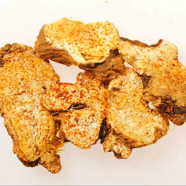 Wholesale Atractylodes kg Price Inner Mongolia Cinnabar Point Atractylodes High-Quality Sources