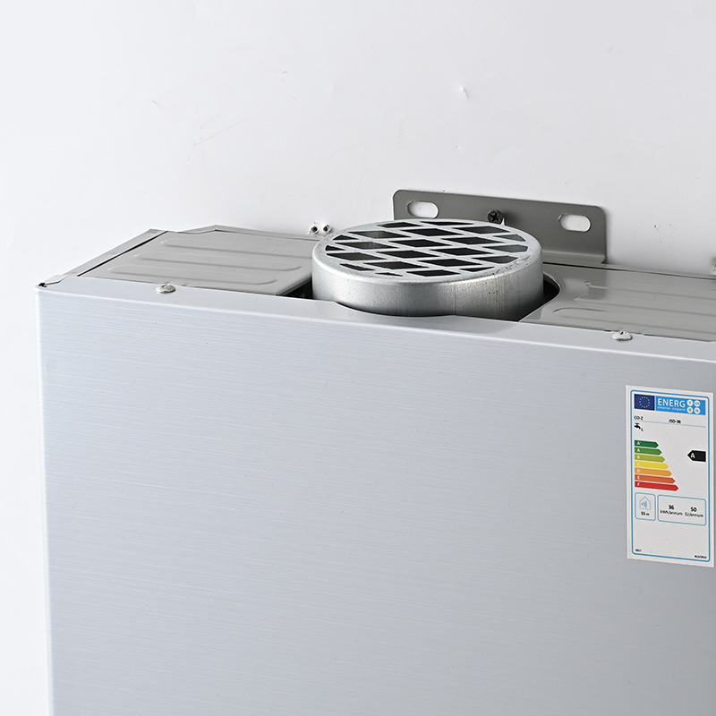 Factory direct supply cross-border gas water heater domestic liquefied gas water heater natural gas water heater forced discharge water heater