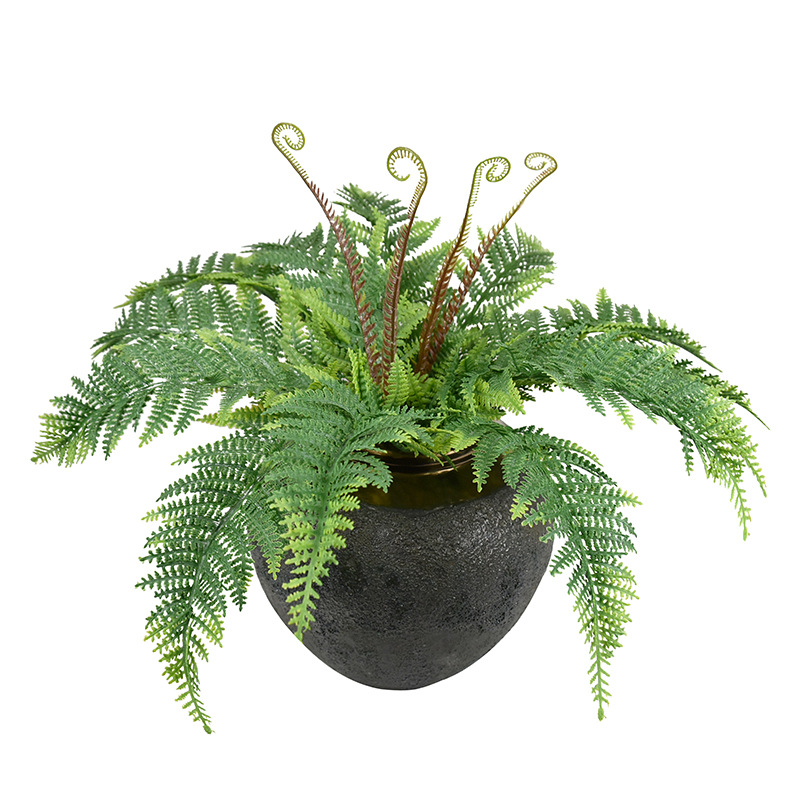 Environmental protection simulation plant wall with grass 60cm big leaf Persian grass plastic Fern window decoration fake grass potted plant