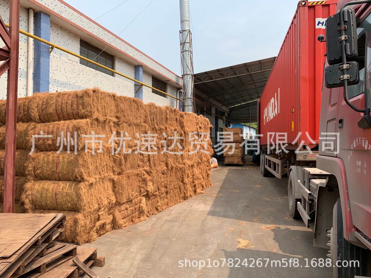 Pulp Supply coconut shell fiber for papermaking and pulping plant fiber raw materials for papermaking wood pulp