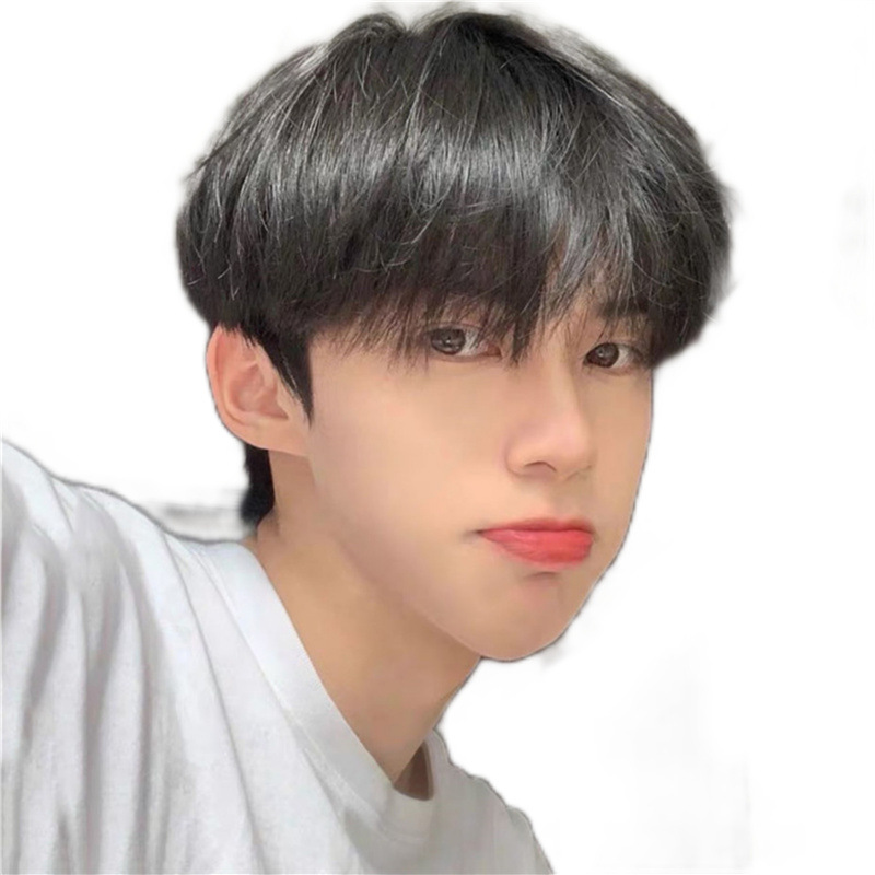 Wig men's short hair Korean handsome men's short straight hair neat bangs student fluffy daily full head cover factory wholesale