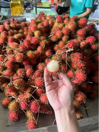 Fresh Rambutan Fruit 2.5kg Seasonal Whole Box of Rambutans Hainan Tropical Fruit for Pregnant Women