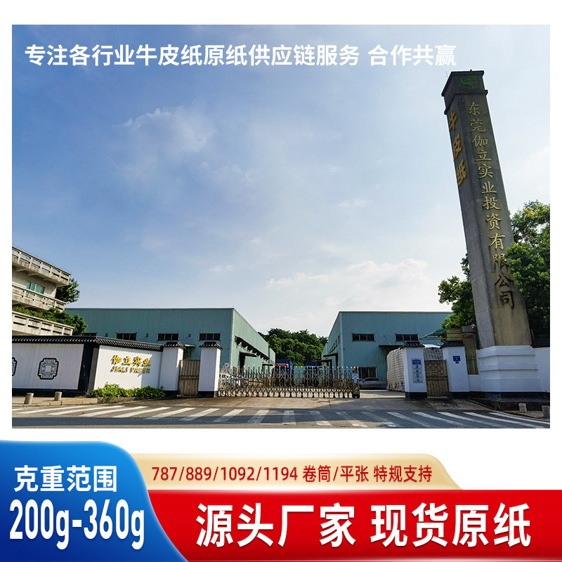 Paper Factory Ensuo Coated Cow Cardboard Roll Food Grade Frozen Packaging White Noodle Box Board Eudr Environmentally Friendly Kraft Paper