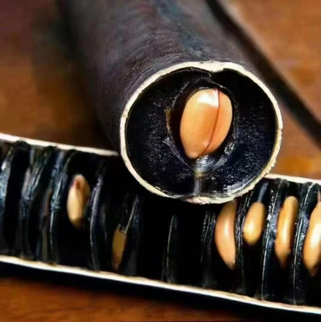 Wholesale Constipation Pulp New Arrivals Myanmar Large Fruit Horn Tree Fruit Sausage Tree Fruit Nepal Kiwi Fruit Direct from Origin