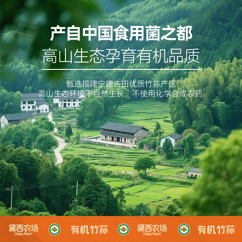 Daisy Farm Selects Organic Bamboo Fungus 20g, Crispy, Tender, Plump, Easy to Soak, Perfect for Soup and Hot Pot, Delicious Wholesale