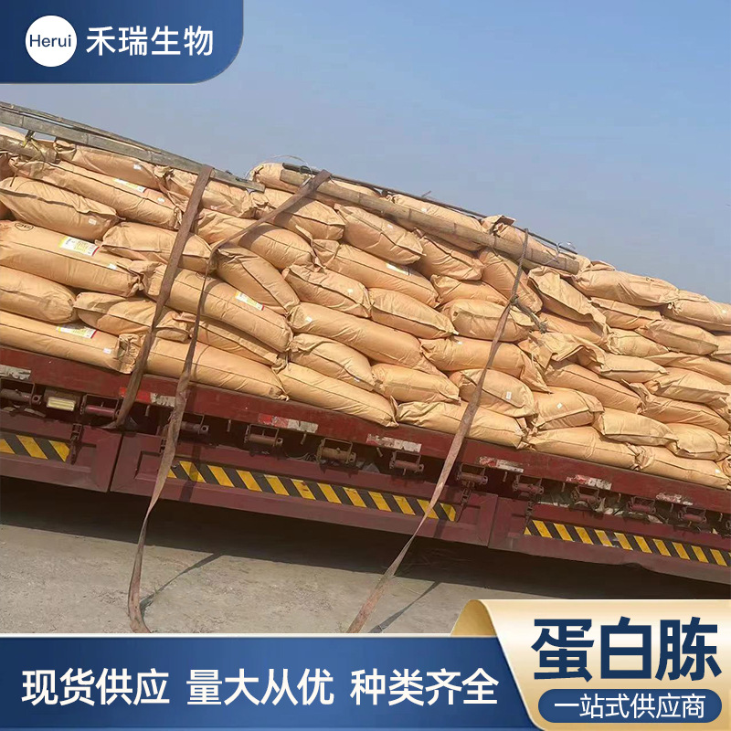 Peptone Fermented Nitrogen Source Medium Microbial Culture Medium Raw Material Peptone