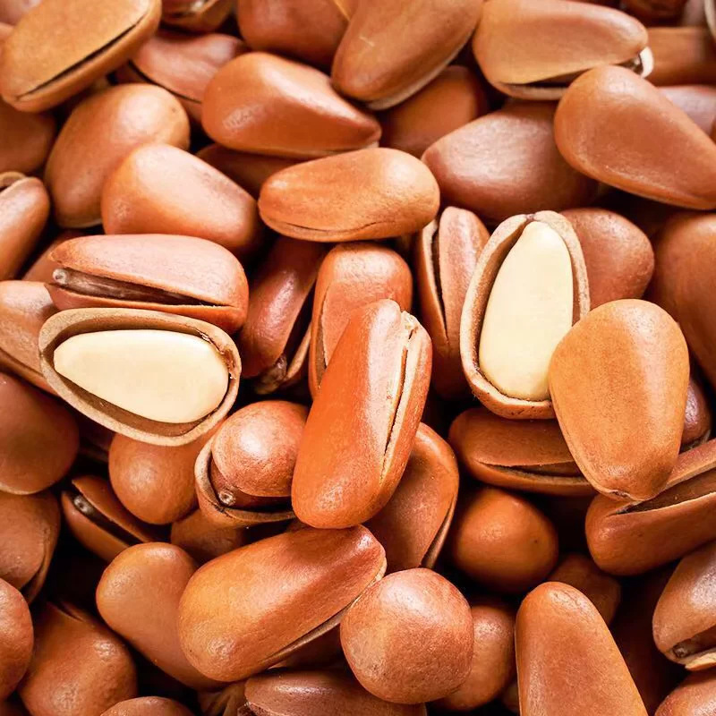 New Northeast Open Red Pine Nuts Large Granule Pine Nuts Sweet Fragrance Northeast Specialty 1/2/3/ 2.5kg 500G/Wholesale