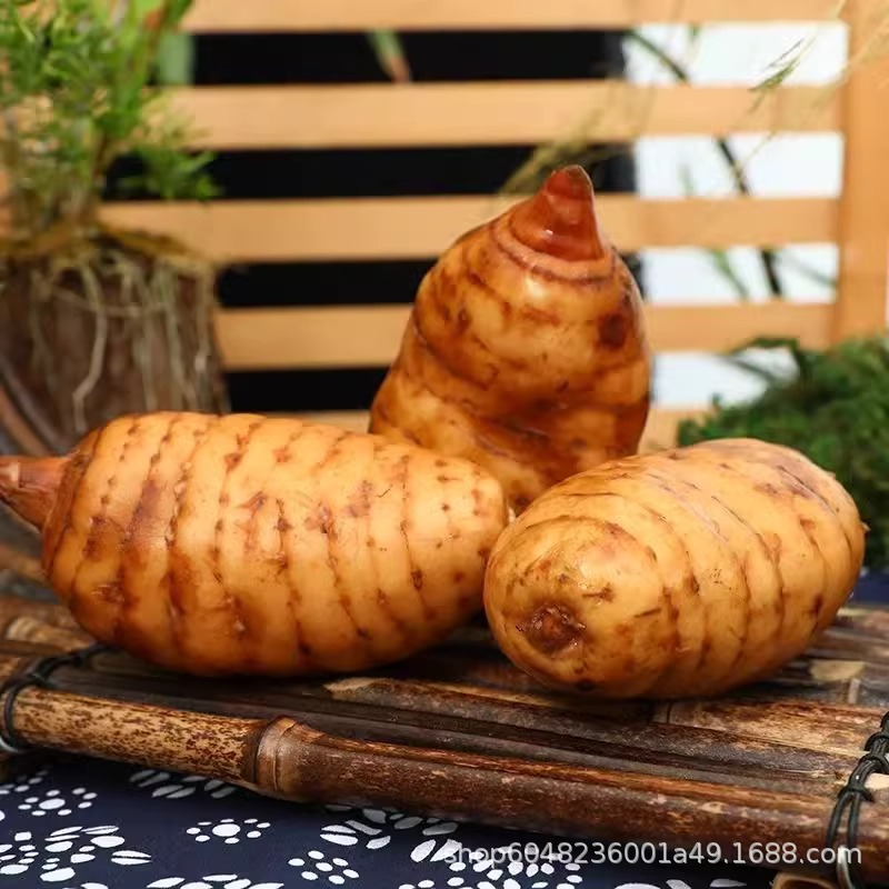 Authentic Yunnan Zhaotong Grass Dam Fresh Gastrodia Wild Special Grade Freshly Digged Alpine U Gastrodia Treatment Headache