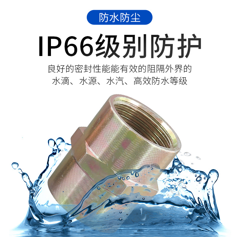 Explosion-Proof Pipe Joint Bgy 4 Points/6 Points, One End Internal and One End External, Two Internal Thread to Wire Joint Explosion-Proof Flexible Pipe