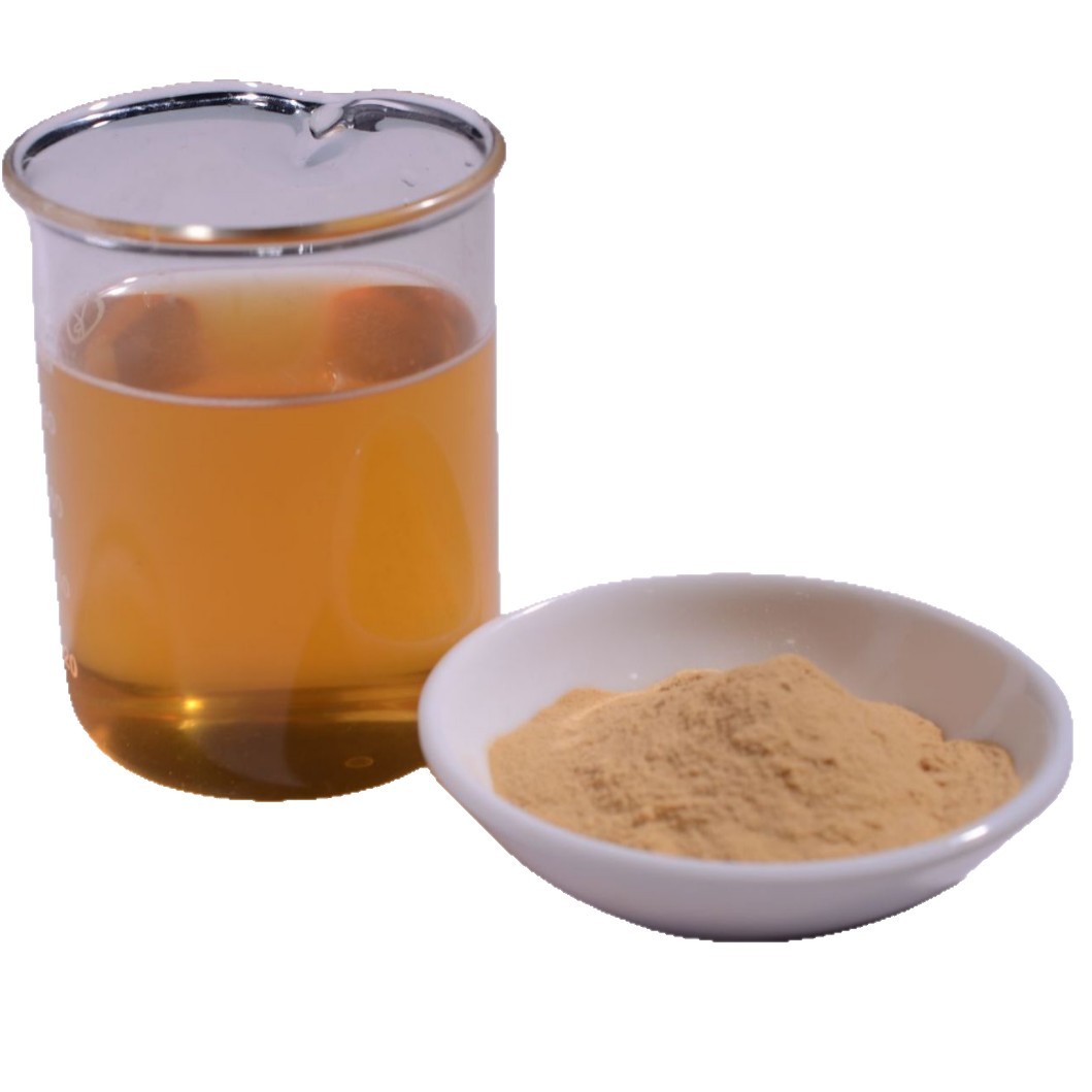 Ofk Brand Imported Wolfberry Powder Concentrated Instant Solid Beverage Snack Formula Processing Special Fruit Powder Fruit Powder