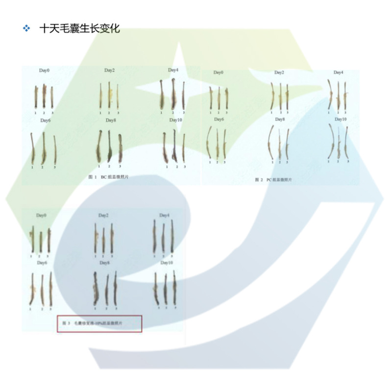 Comparable to 99% Pyrrolidinediamidopyrimidinium Oxide Water-Soluble Hair Growth Raw Material 55921-65-8