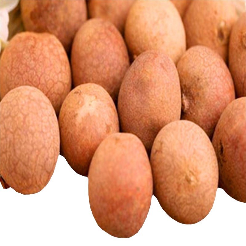 New Arrival, Large Longan, Dried Longan, Dried Fruit, Primary Food Raw Materials, Original Flavor, No Additives, Bulk Packaging, Batch Price