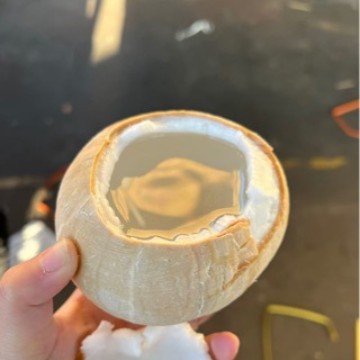 Hainan Tropical High-End Fruit Gift Box, Sf Express Free Shipping, Selected Bird's Nest Fruit, Coconut, Saba Fruit, Fresh