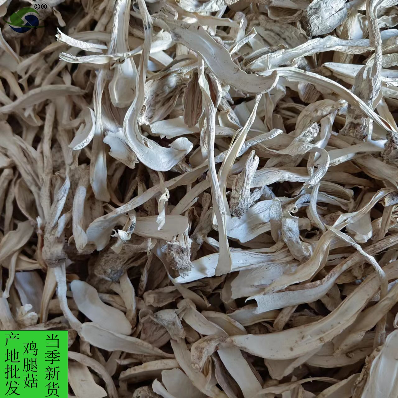 Гриб Гутянь 500г оптом для горячего супа