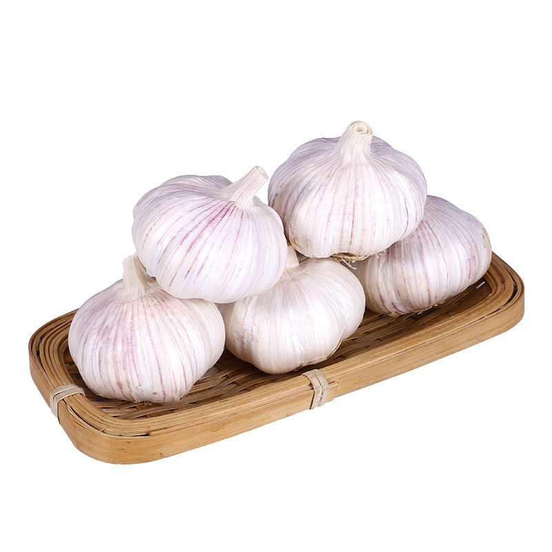 This Year's New Dried Garlic 2.5kg Garlic Bulbs, Farm Fresh Garlic Bulbs Starting from 250g, Purple and White Skinned Garlic, Seasonal Vegetables, Whole Box