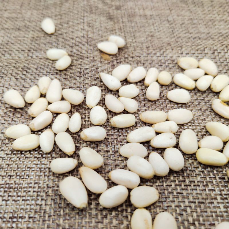 2024 New Large Particle Pine Nuts Raw Pine Nuts Wholesale Fresh Original Nut Snacks Bag Bulk Net Weight Free Shipping