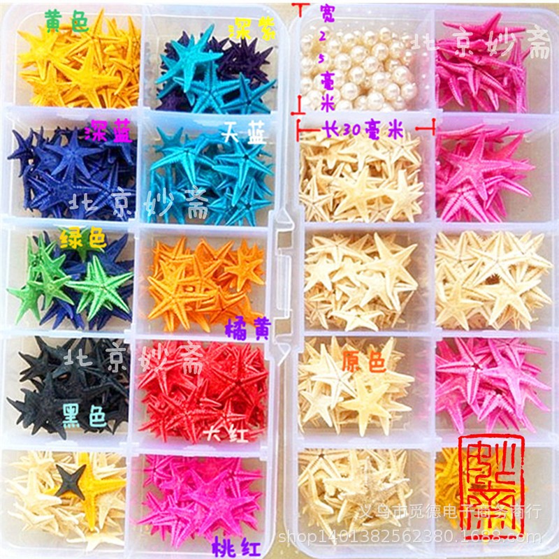 Hot sale natural starfish shell large conch micro landscape decoration hanging decoration photo frame candle crafts