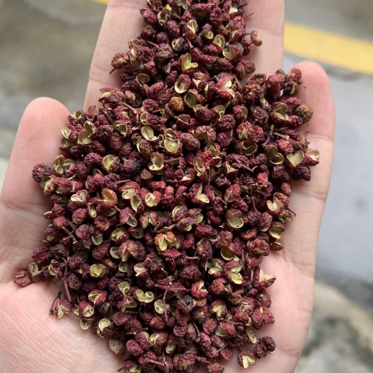 Zanthoxylum bungeanum on behalf of Hanyuan Zanthoxylum bungeanum Jinyang Green Zanthoxylum bungeanum