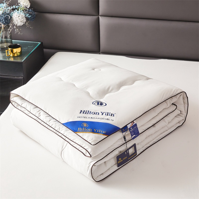 Hilton Hotel Silk Quilt Imitation Mulberry Silk Warm Quilt Core Spring and Autumn Thickened Winter Quilt Group Buying Gift Quilt Wholesale