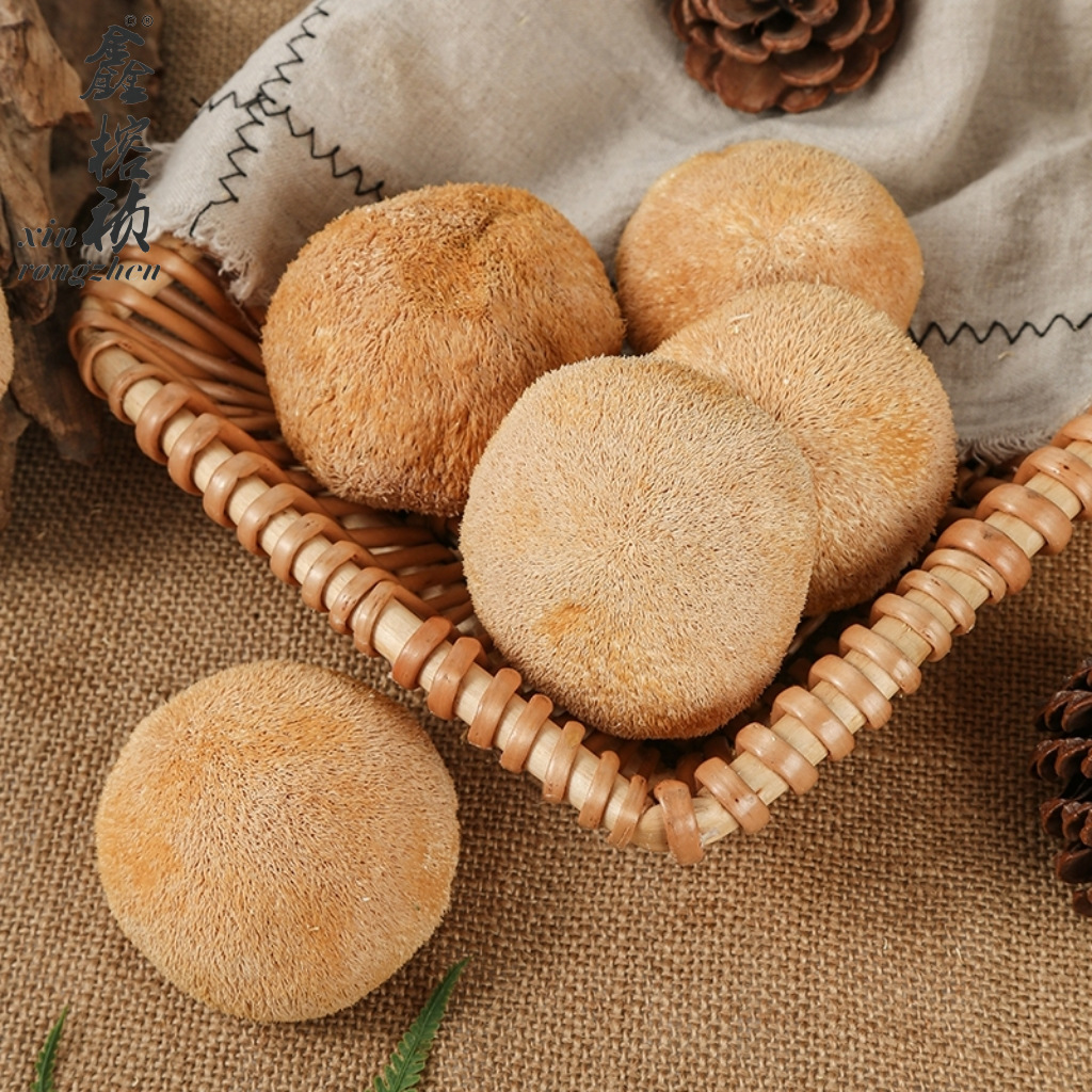 Cross-Border Gutian Edible Fungi Dried Hericium Erinaceus 4-8cm Hericium Erinaceus Medium Capsuless Without Roots Source Factory Batch