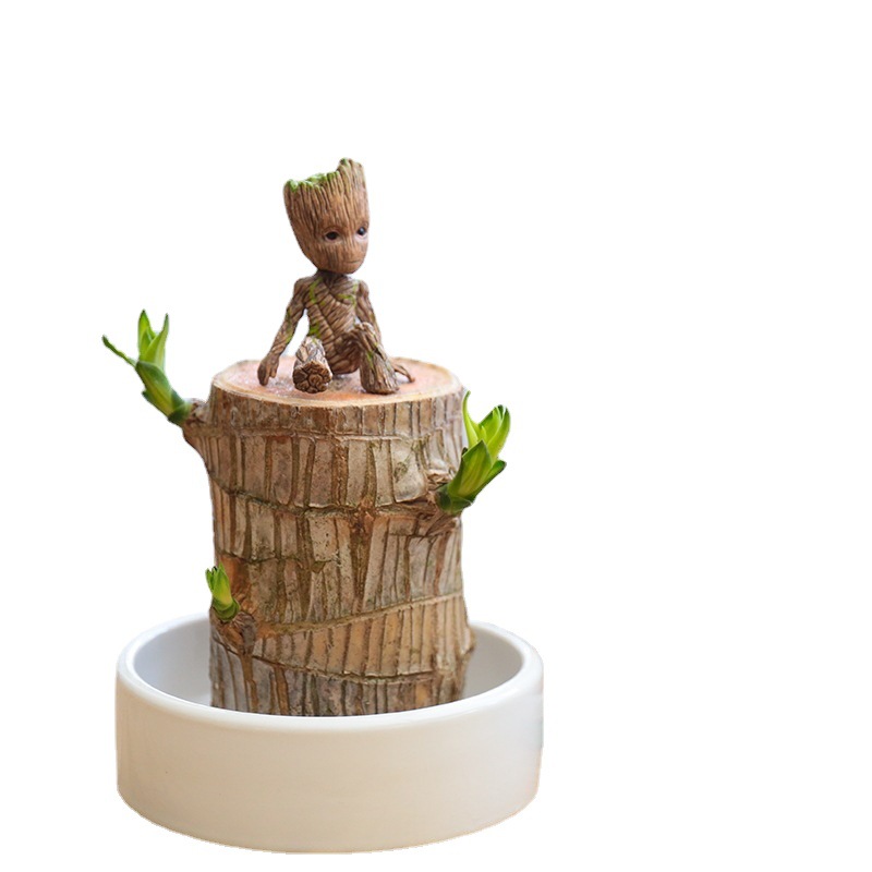 Brazilian wood hydroponic plant lucky wood stump desktop potted Groot four seasons easy to sprout Brazilian wood