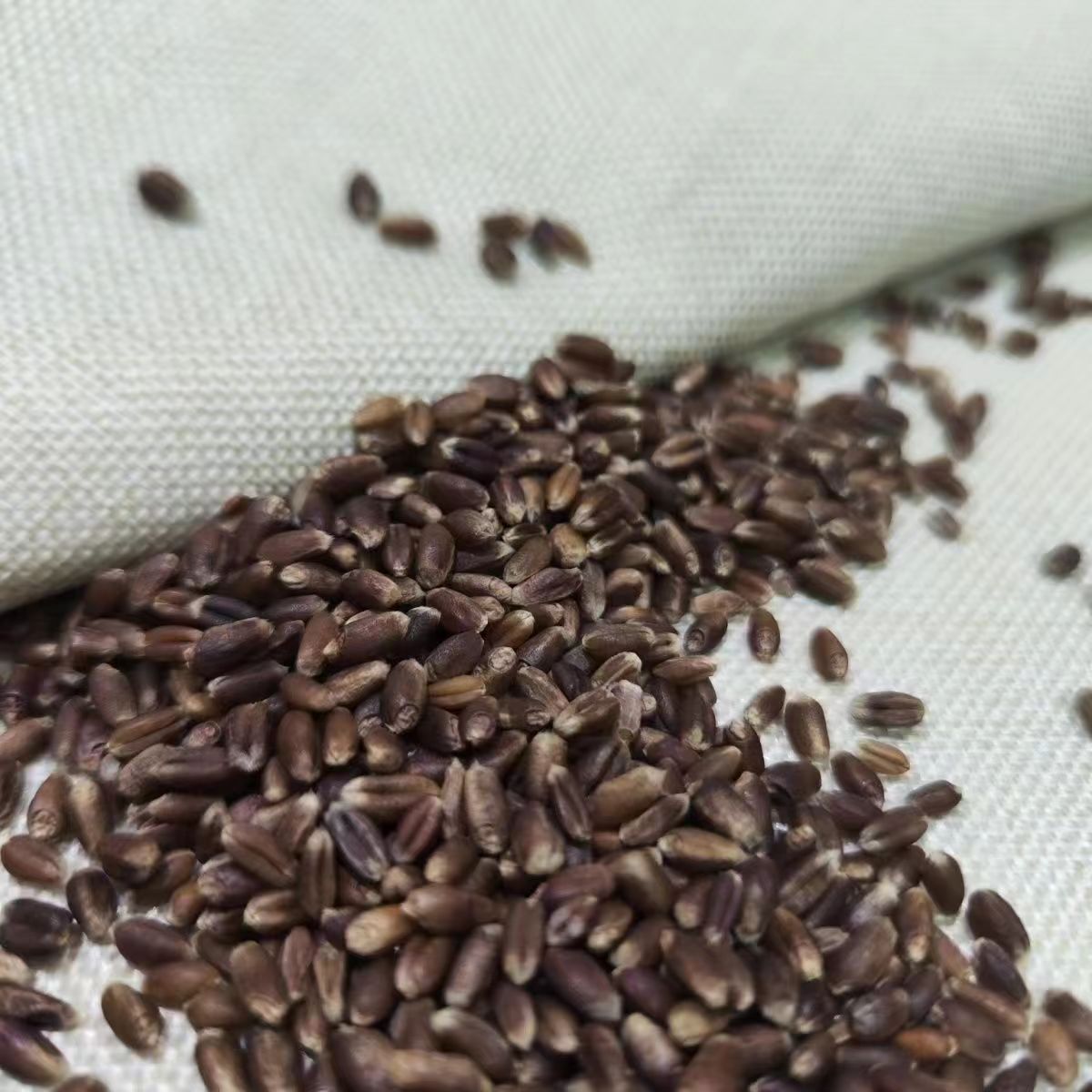 In the season, new farm rye and rye, rye and rye, household grinding, porridge, sprouting, whole grain and coarse grain in stock are distributed on behalf of each other.