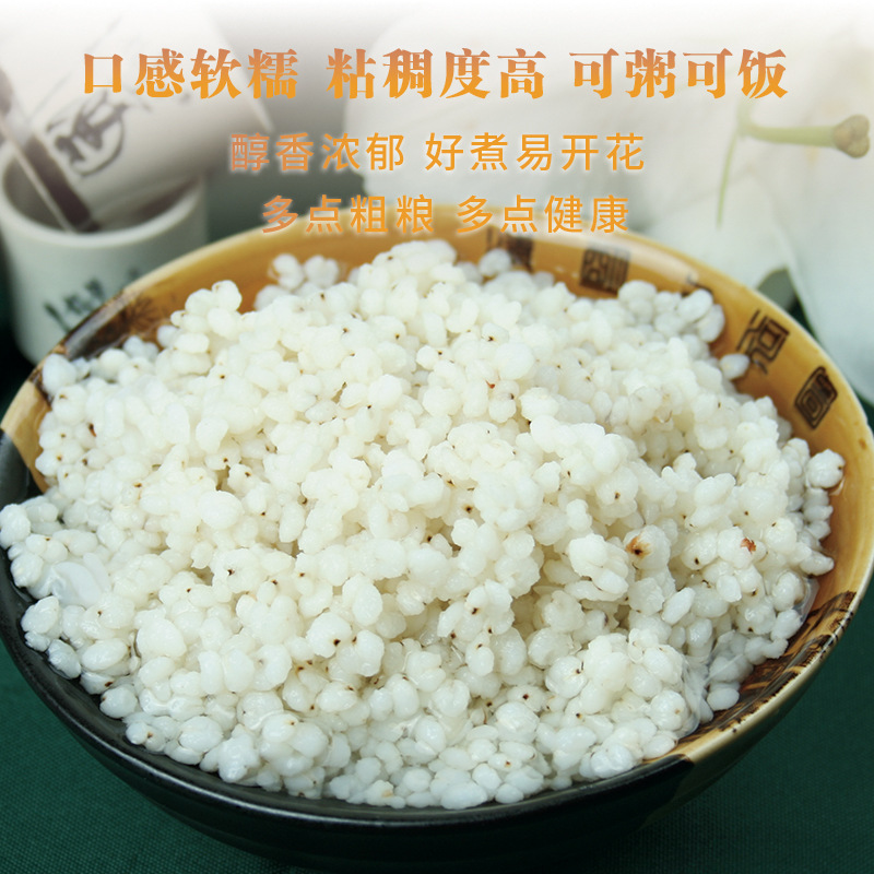 Sorghum Rice Grain New Rice Sorghum Kernel Coarse Grain Porridge Wine Ciba Northeast Sorghum Rice in stock Wholesale