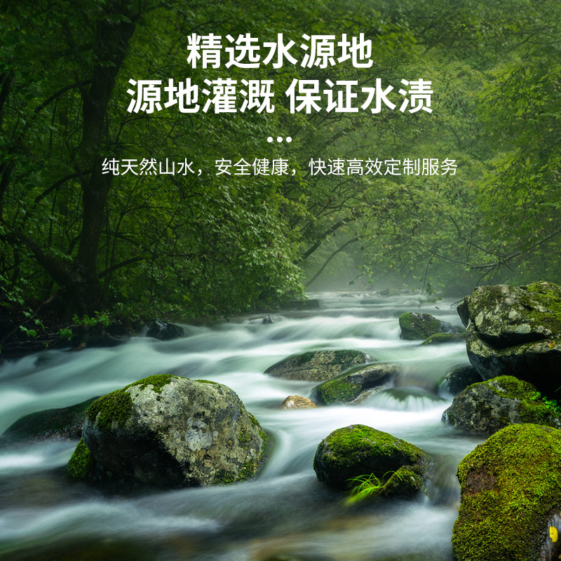 Factory Direct Supply of Non-Mineral Water Logo Bottled Full Box Drinking Purified Water Wedding Corporate Event Customized Water