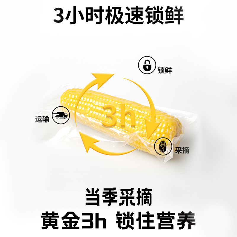 Selenium-Rich Waxy Corn 10-Pack 2.5kg Corn Fresh Waxy Corn Yellow Waxy Corn Vacuum-Packed Northeast Corn