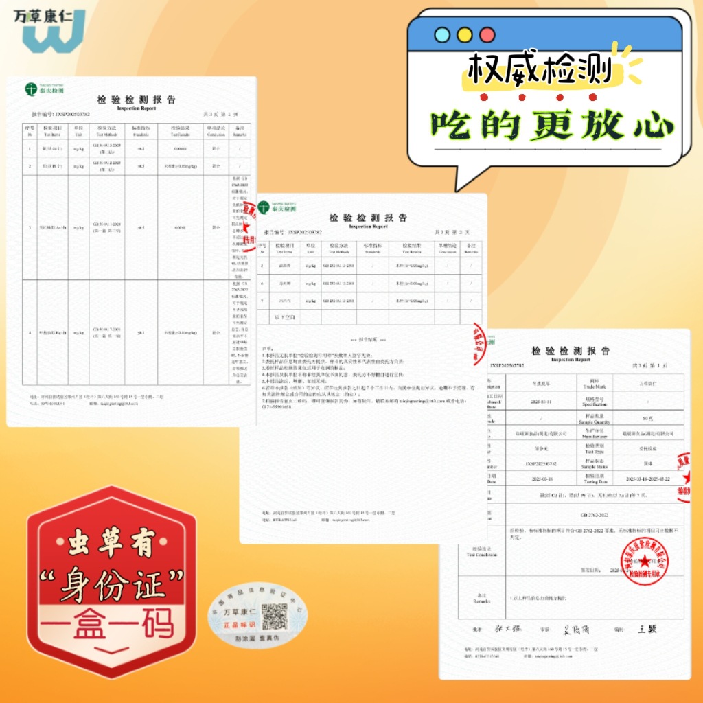 Xizang Nagqu Cordyceps Sinensis Dry Goods Cordyceps Gift Box Freeze-Dried Selected Dry Foot Gift High Nutrition