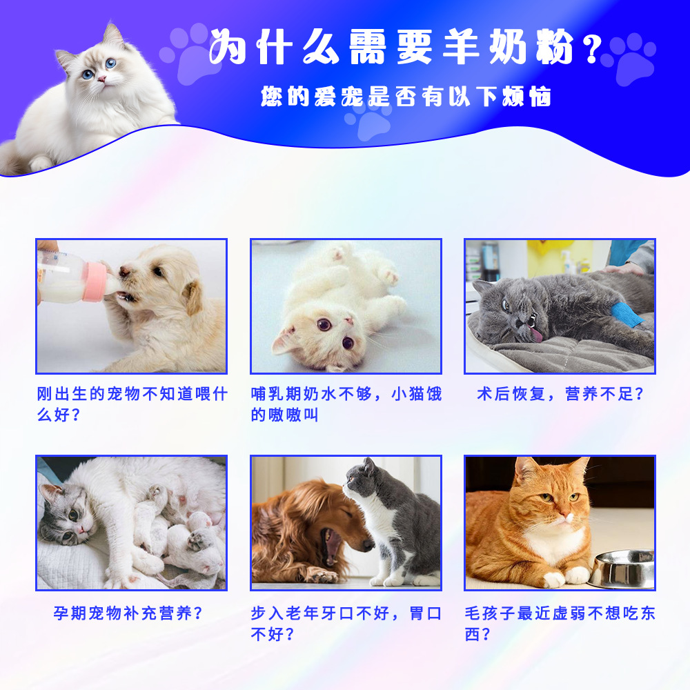 Pet goat milk powder dog special milk powder high content pure goat milk powder supplement nutrition calcium pet formula