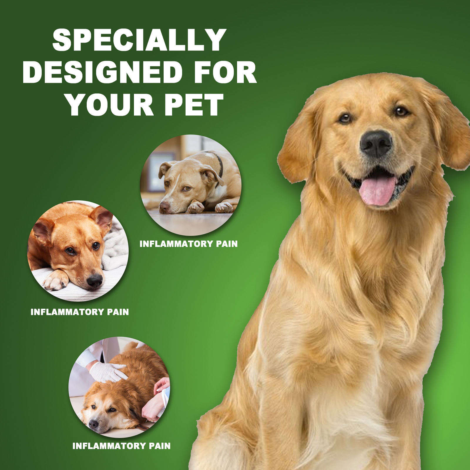 Yegbong Pet Care Drops to Relieve Body Discomfort and Pain in Cats and Dogs, General Pet Care Solution