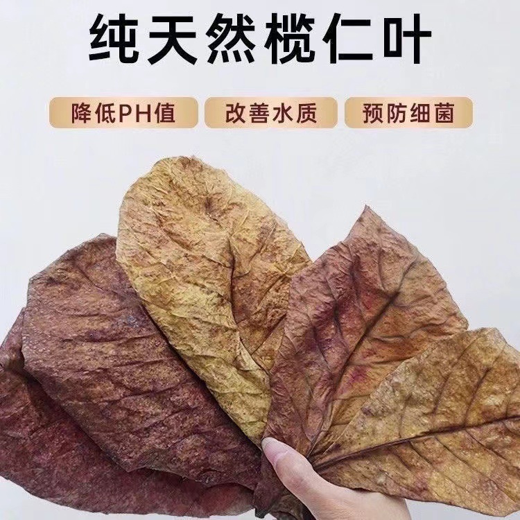 Специальный натуральный лист терминалии Douyu, снижает pH воды, уменьшает кислотность, предотвращает сжигание, регулирует хвост и улучшает качество воды
