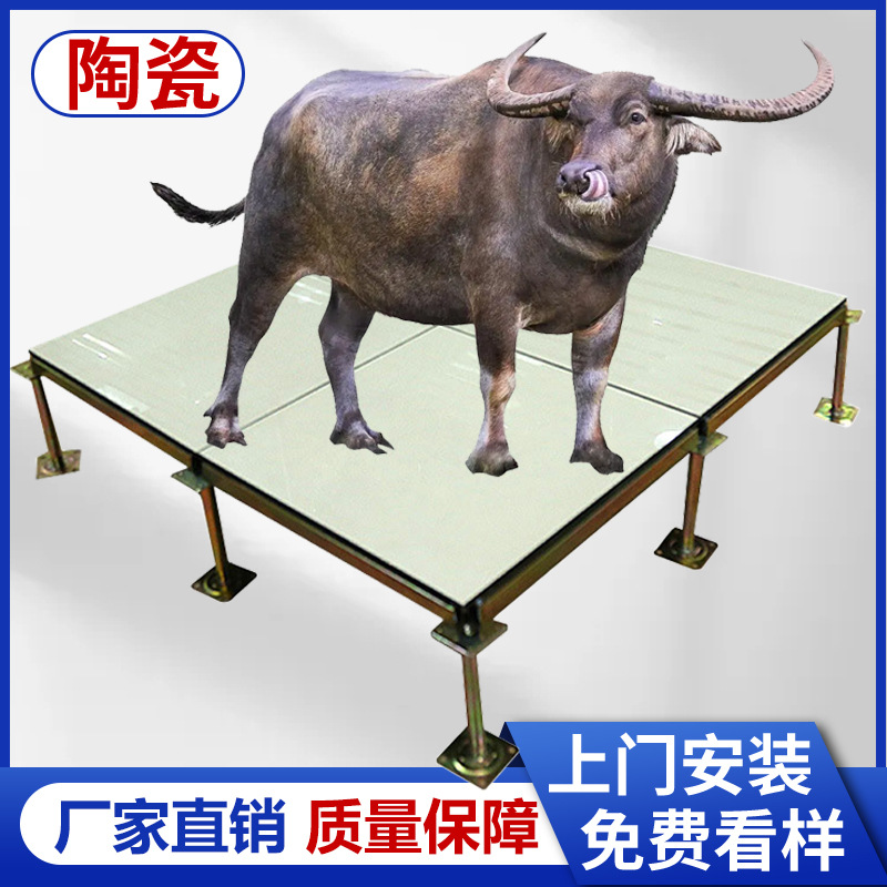 Поставки полностью стального антистатического пола для машинных помещений, пустая подвижная стальная опора