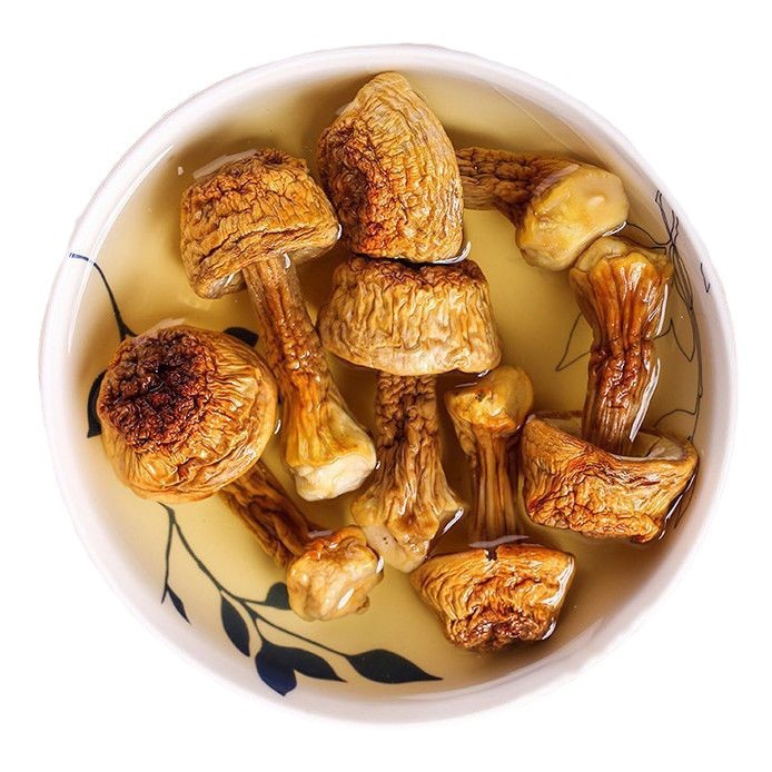 Agaricus blazei dried goods Yunnan specialty Tricholoma matsutake mushroom seasonal fresh mushroom mushroom soup stewed meat nutritious and delicious