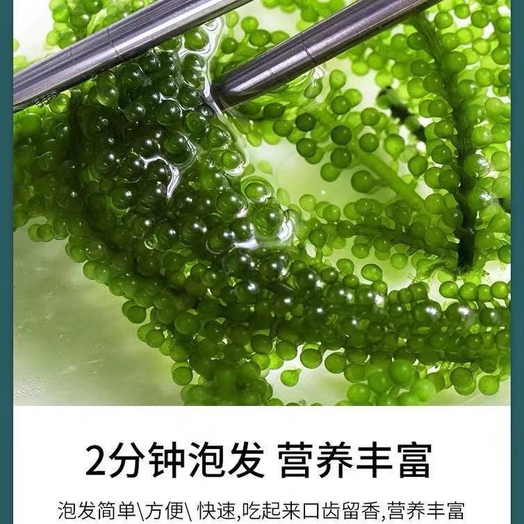 Salted sea grapes 100g kelp silk ready-to-eat longevity vegetables seaweed vegetables seaweed wakame sushi green fish wholesale