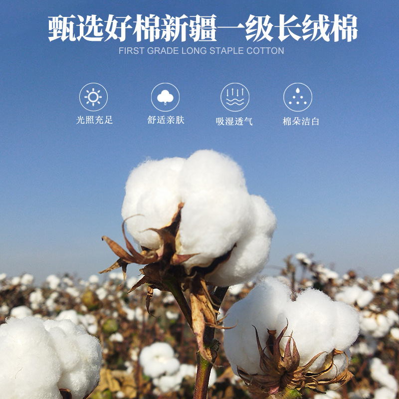 Cotton Mattress Mattress Student Dormitory Quilt Type a Handmade Quilt Cotton Batting Mattress Home Thickeneded Bottom