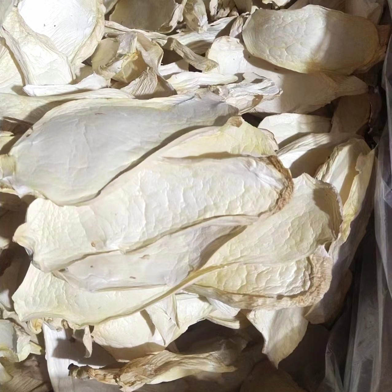 Gutian County Pleurotus eryngii slices 500g Pleurotus eryngii slices dry bulk box wholesale mushroom edible agricultural products