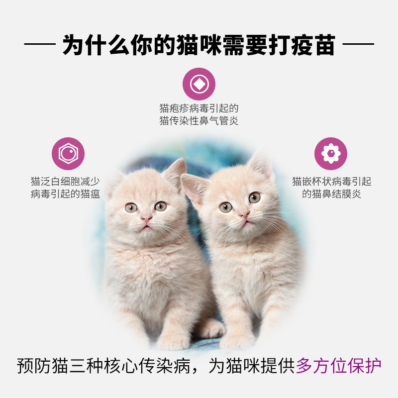 Pfizer Vaccine Miaosanduo Zoetis Cat Triple Vaccine Imported from the United States Cat Plague Caliciform Nasal Virus Kitten Gift