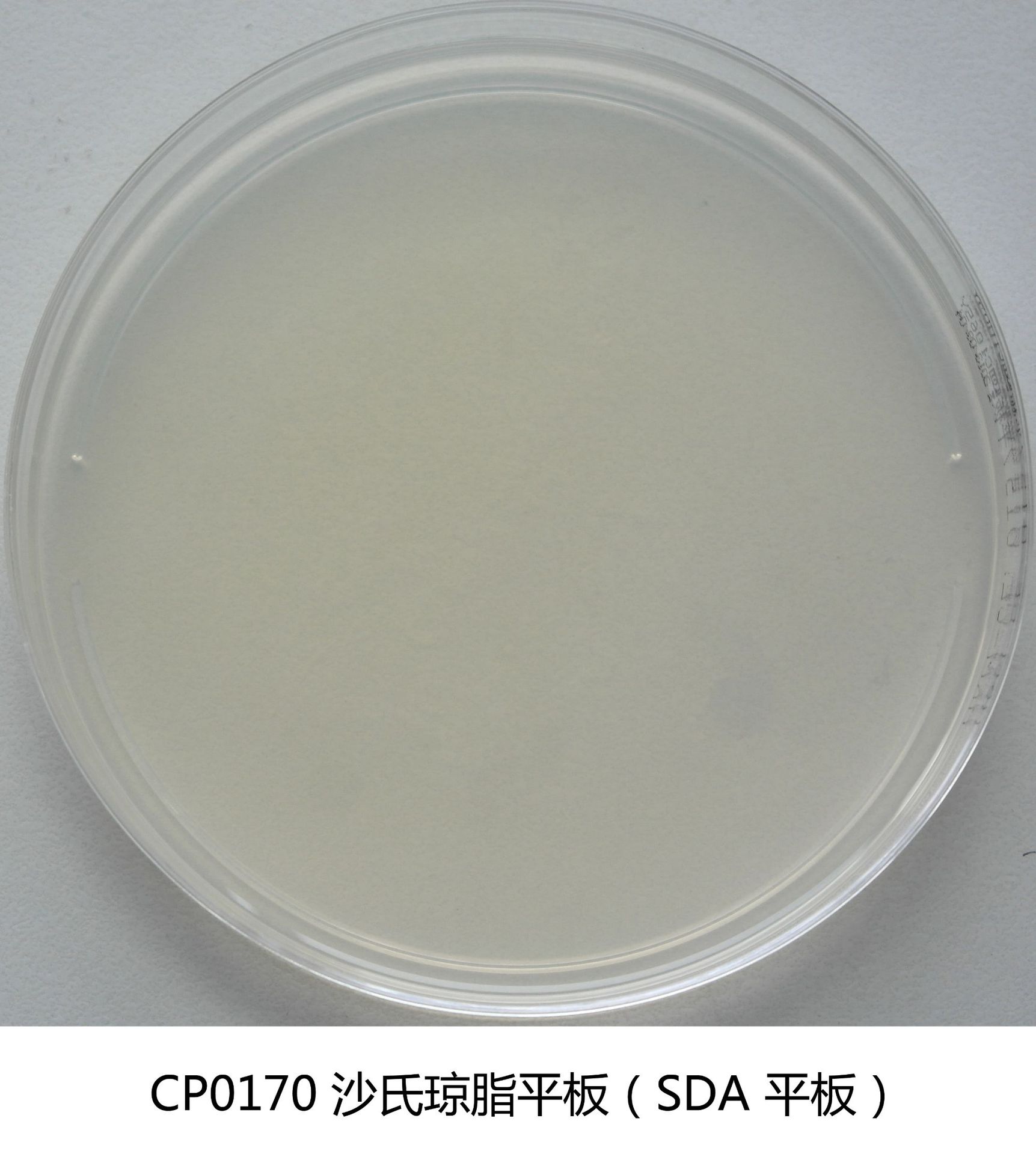 Shibata Agar Plate Sda Plate Huankai Microbial Manufacturer Lets Direct Sales Ready-To-Use Culture Medium Series