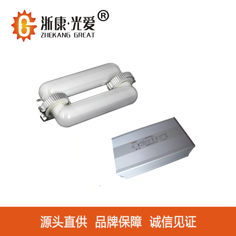 Directly Supplied from the Source Zhejiang Kangguang Love Low-Frequency Stepless Lamp 150W200W300W Ring Rectangular Light Source Lamp Ballast