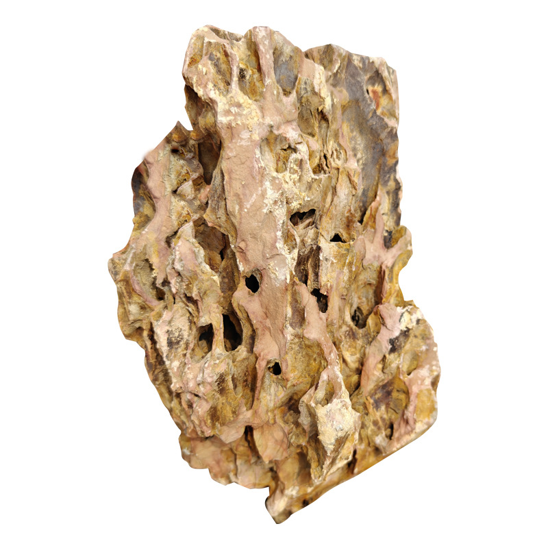 Natural Raw Stone Skeleton-Sized Combination Fish Tank Aquascape Micro-Landscape Natural Landscaping Finished Product Pine Bark Stone Colored Stone