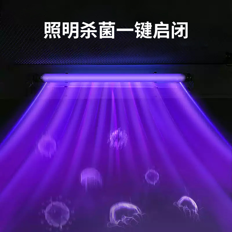 Laboratory A2B2 Desktop Biological Safety Cabinet, All-Steel Secondary Scientific Grade Desktop Biological Safety Cabinet